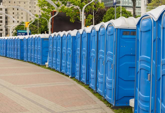 hygienic portable restrooms lined up at a music festival, providing comfort and convenience for attendees in Franklinville